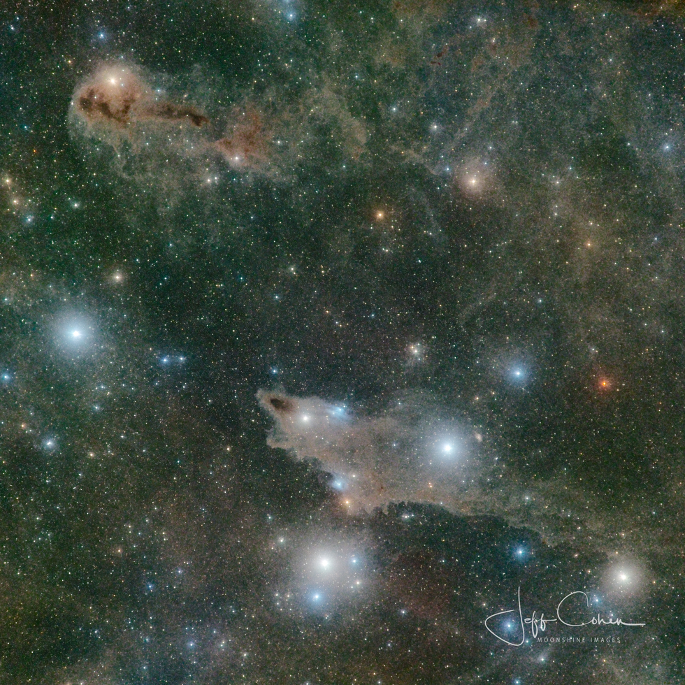 LDN 1235 the shark nebula