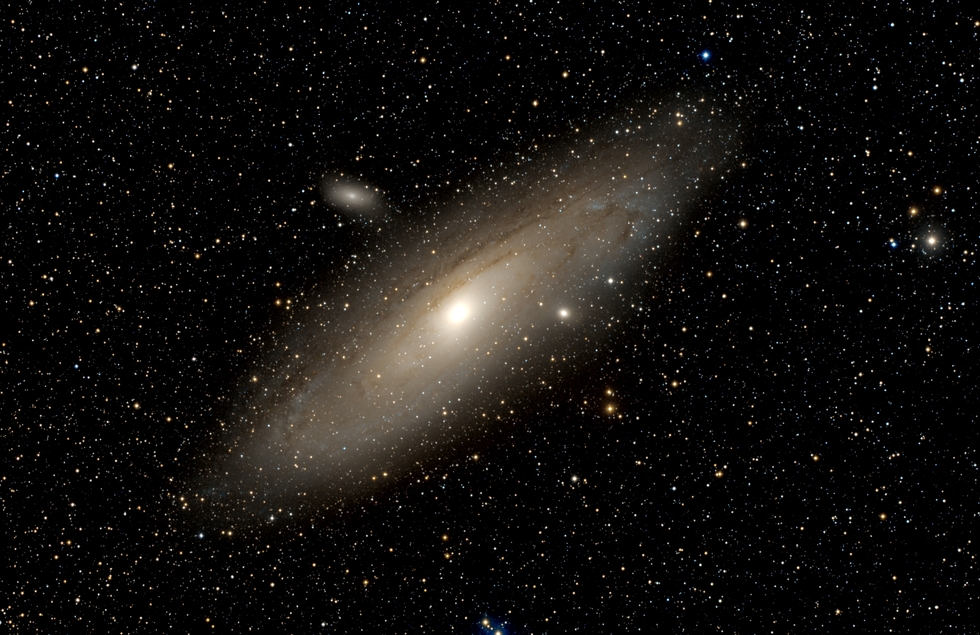 M31