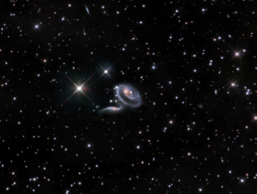 Arp273