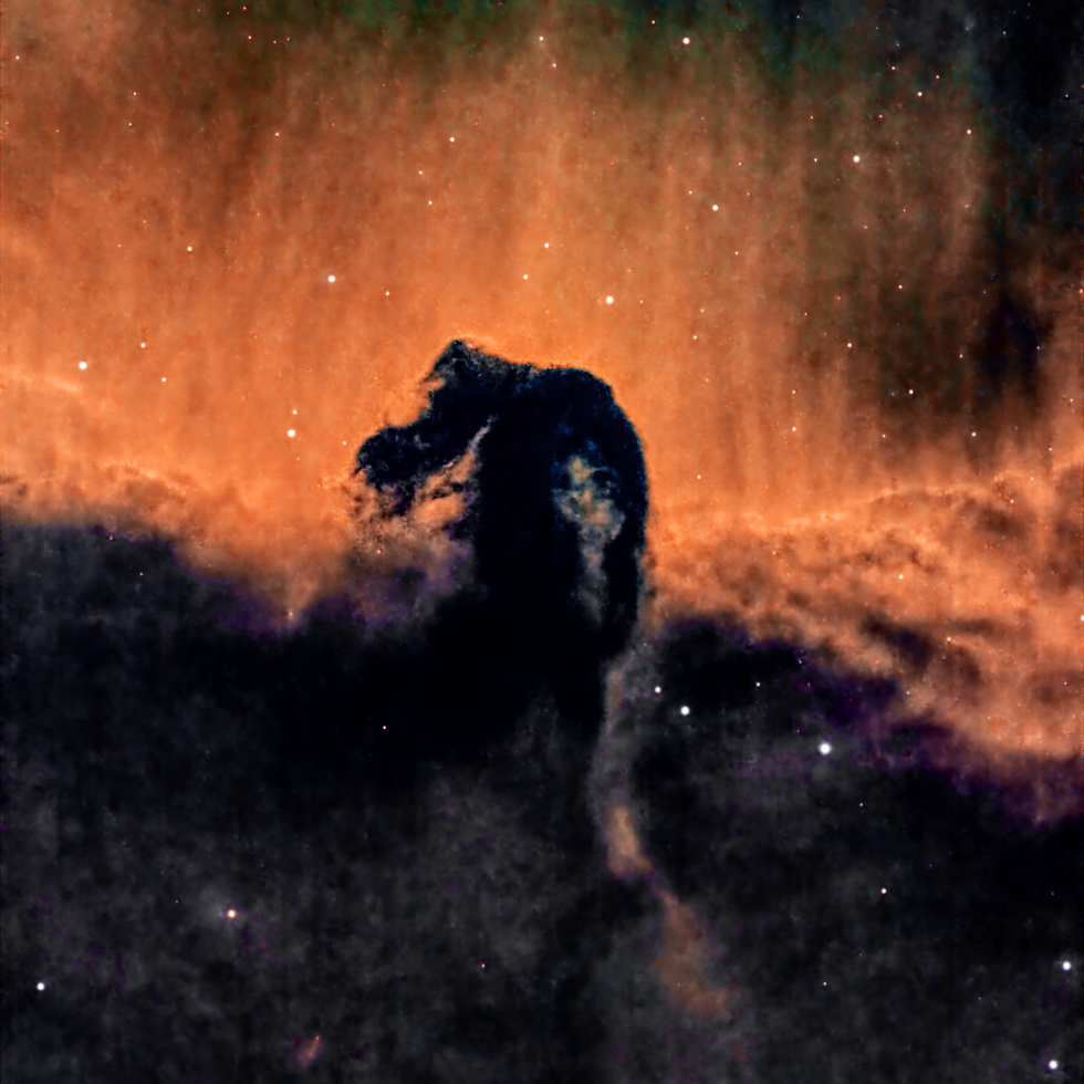 The Horsehead Nebula, B33