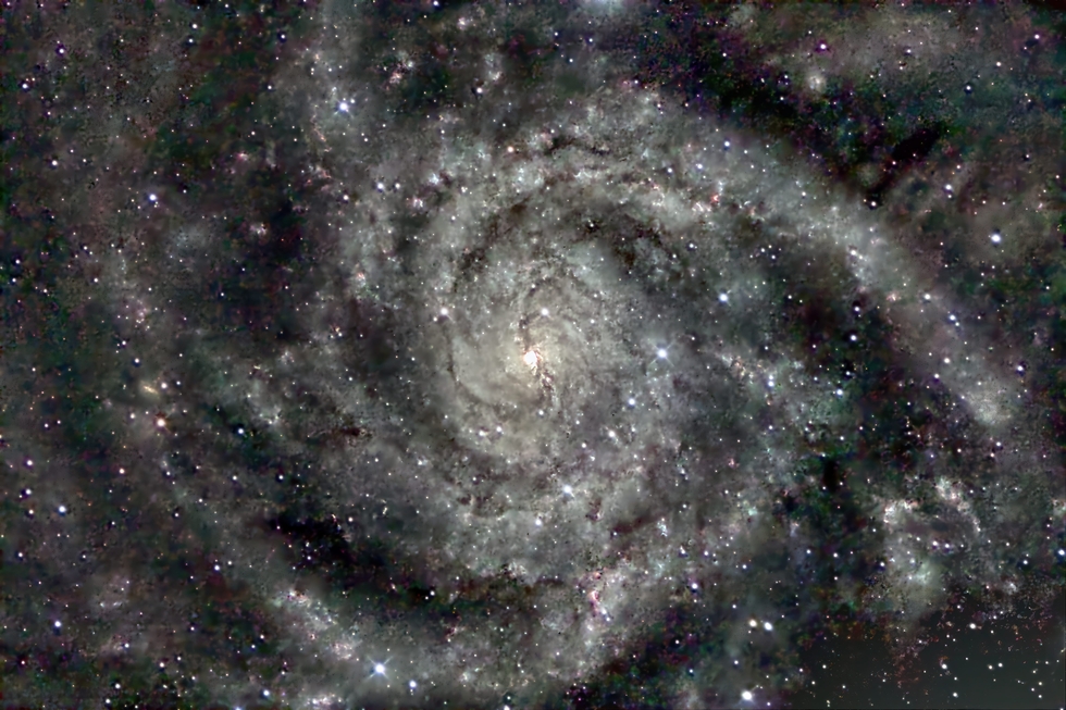 The Hidden Galaxy, C5 (IC342)