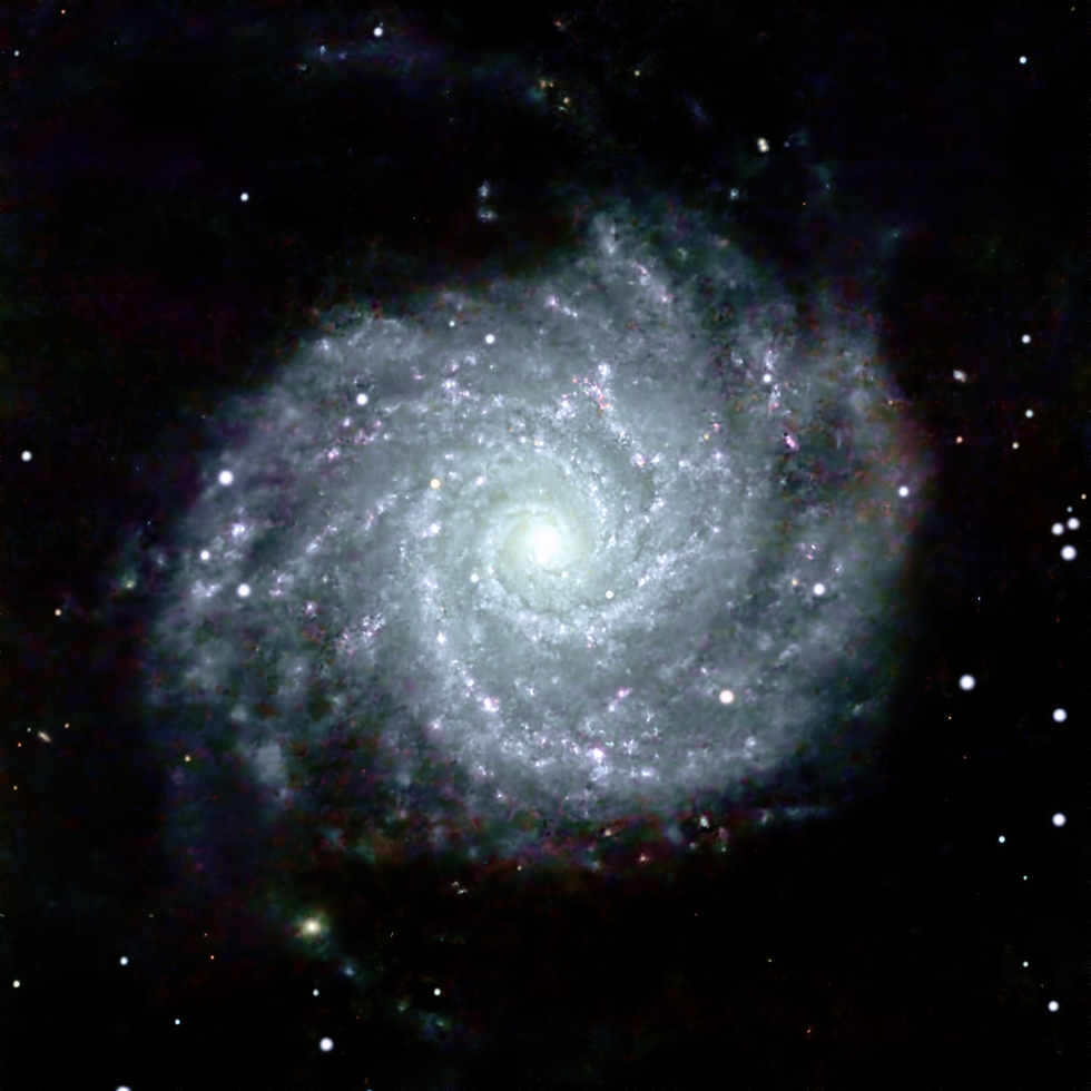 M74