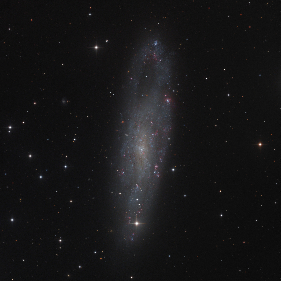 NGC 247