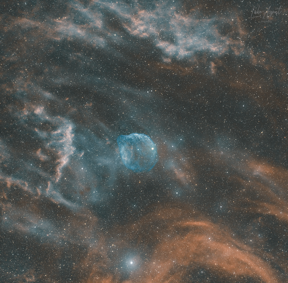 Sh2-308 Dolphin Head nebula