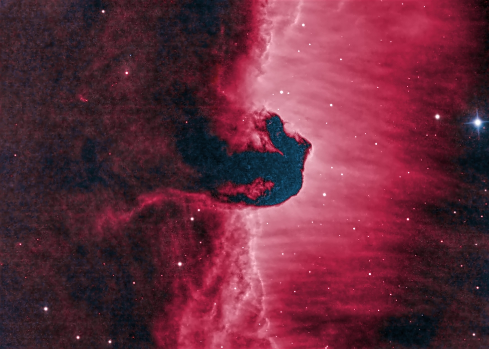 The Horsehead Nebula SHO | Telescope Live