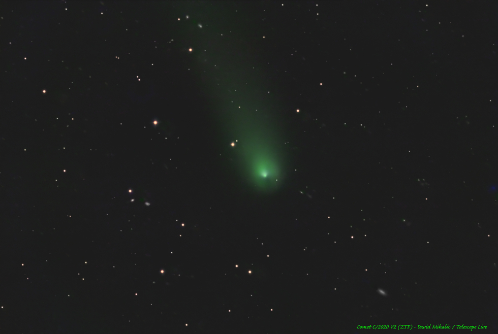 Comet C/2020 V2 (ZTF)