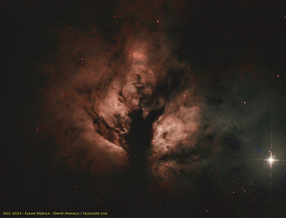 Flame Nebula - NGC 2024