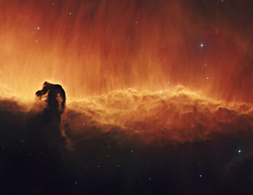 Two Panel Horsehead