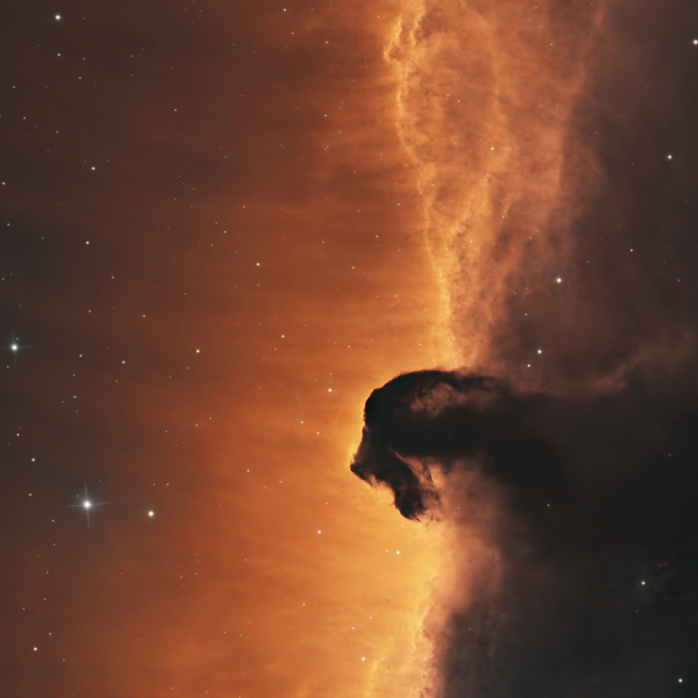 The Horsehead Nebula