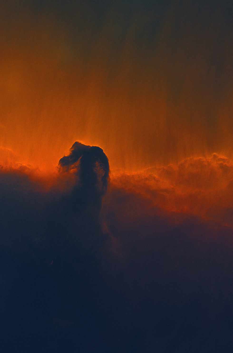 Horse Head Nebula