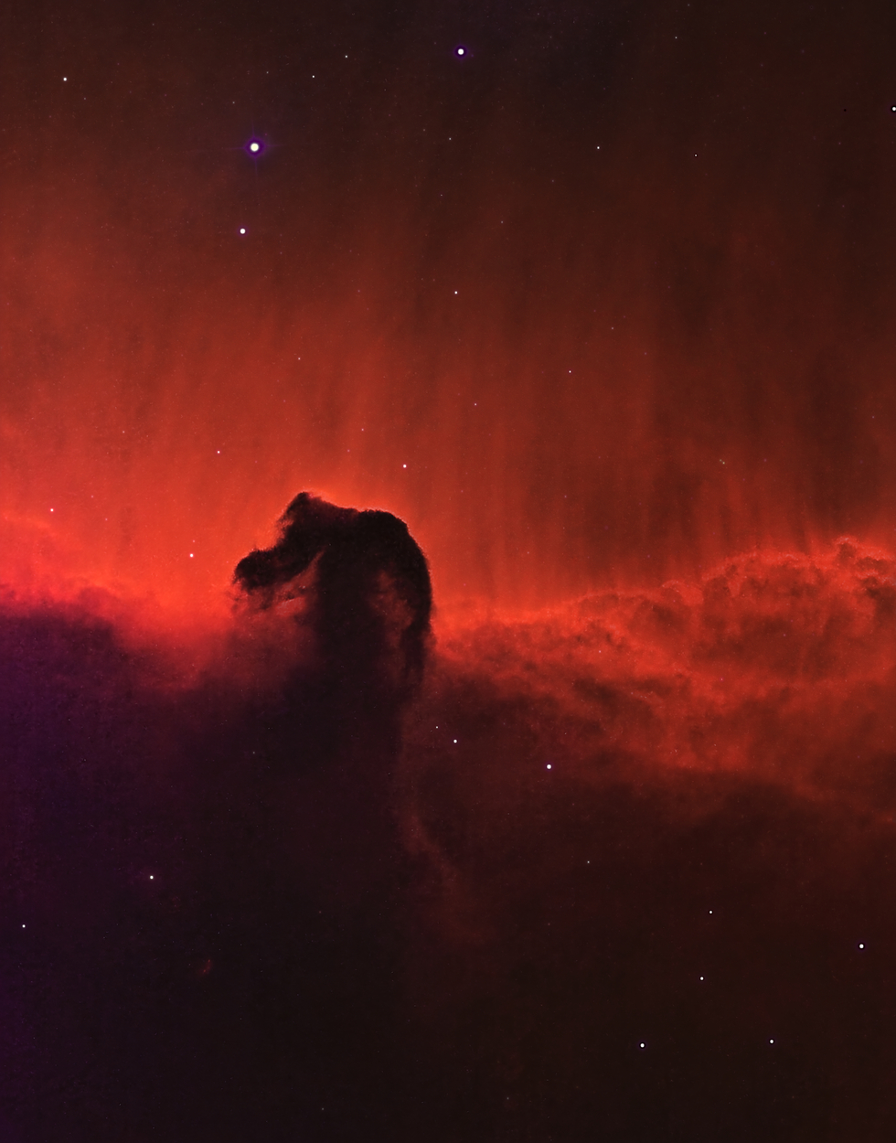 Barnard 33 the horses head nebula