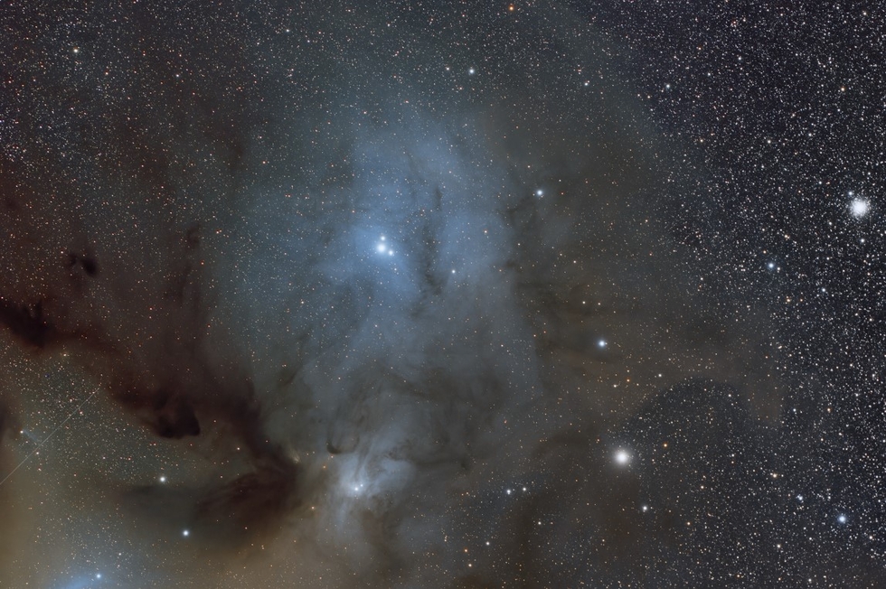 IC 4604