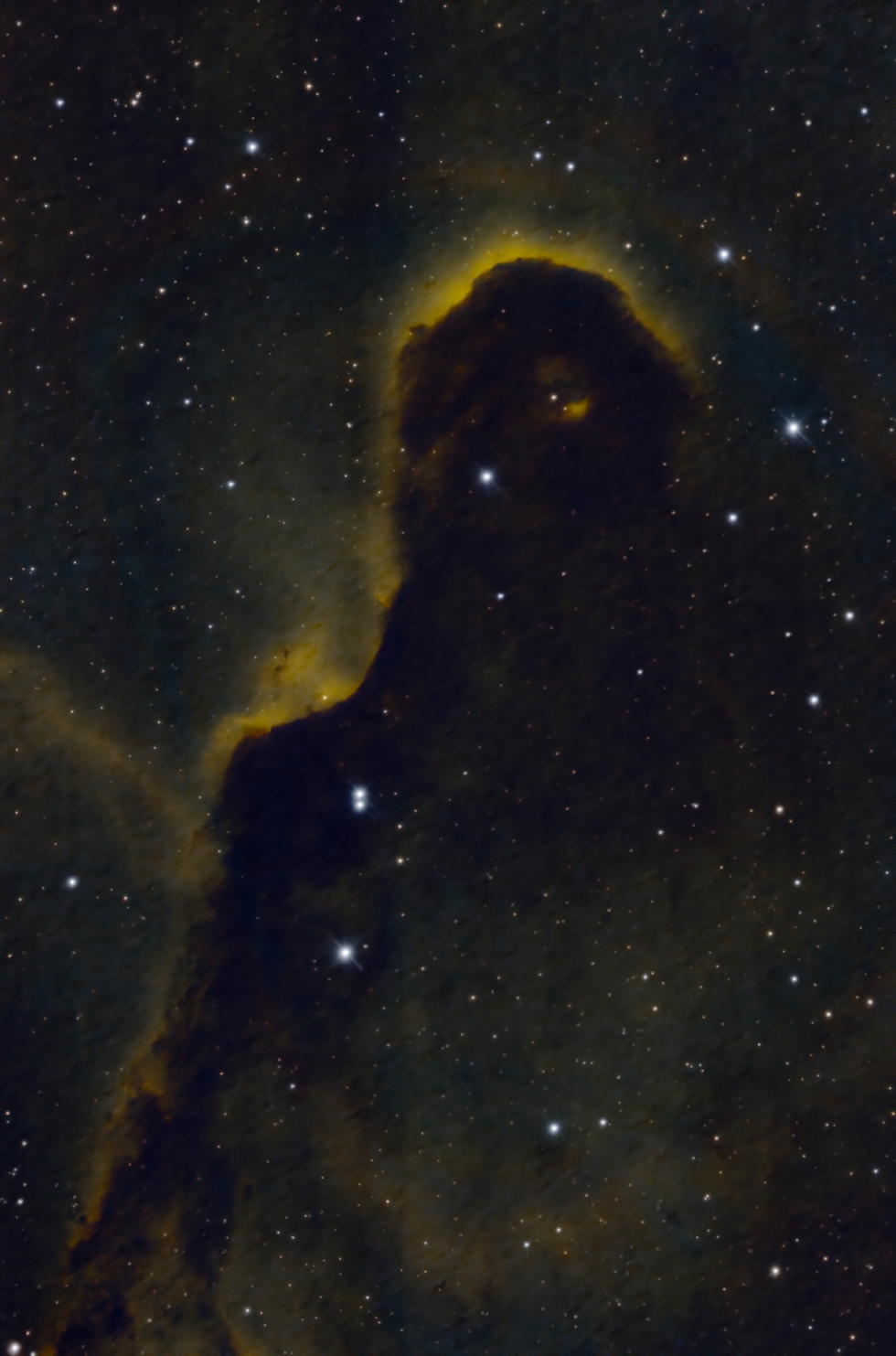 Elephant's Trunk Nebula