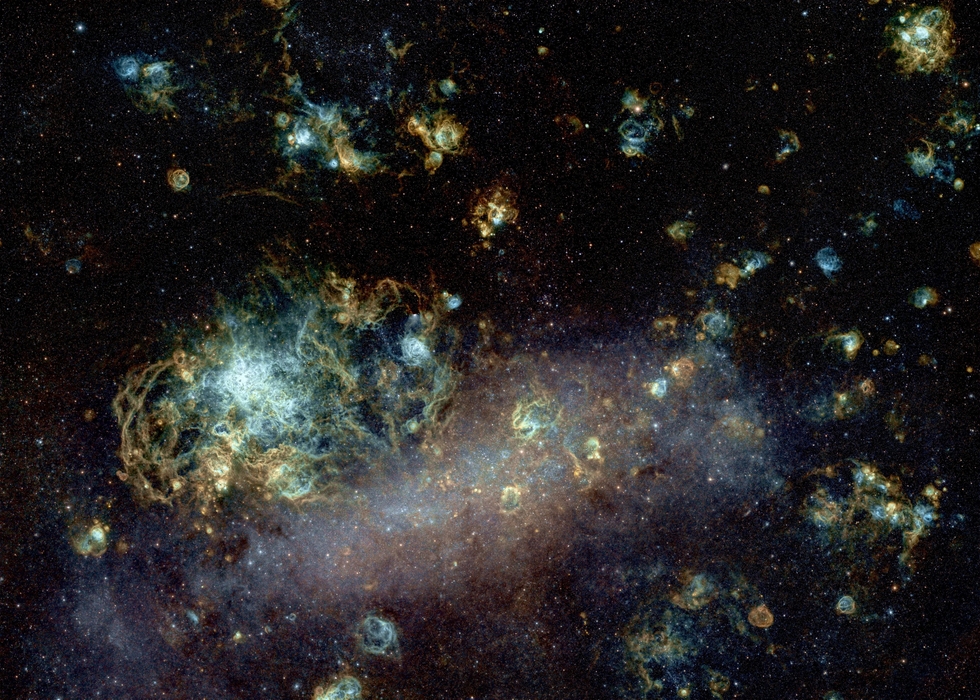 The Large Magellanic Cloud