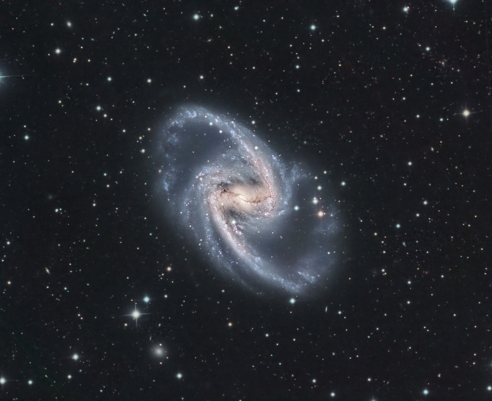 NGC1365