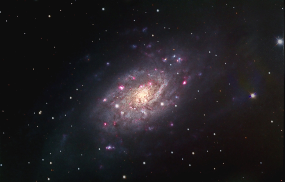 NGC 2403