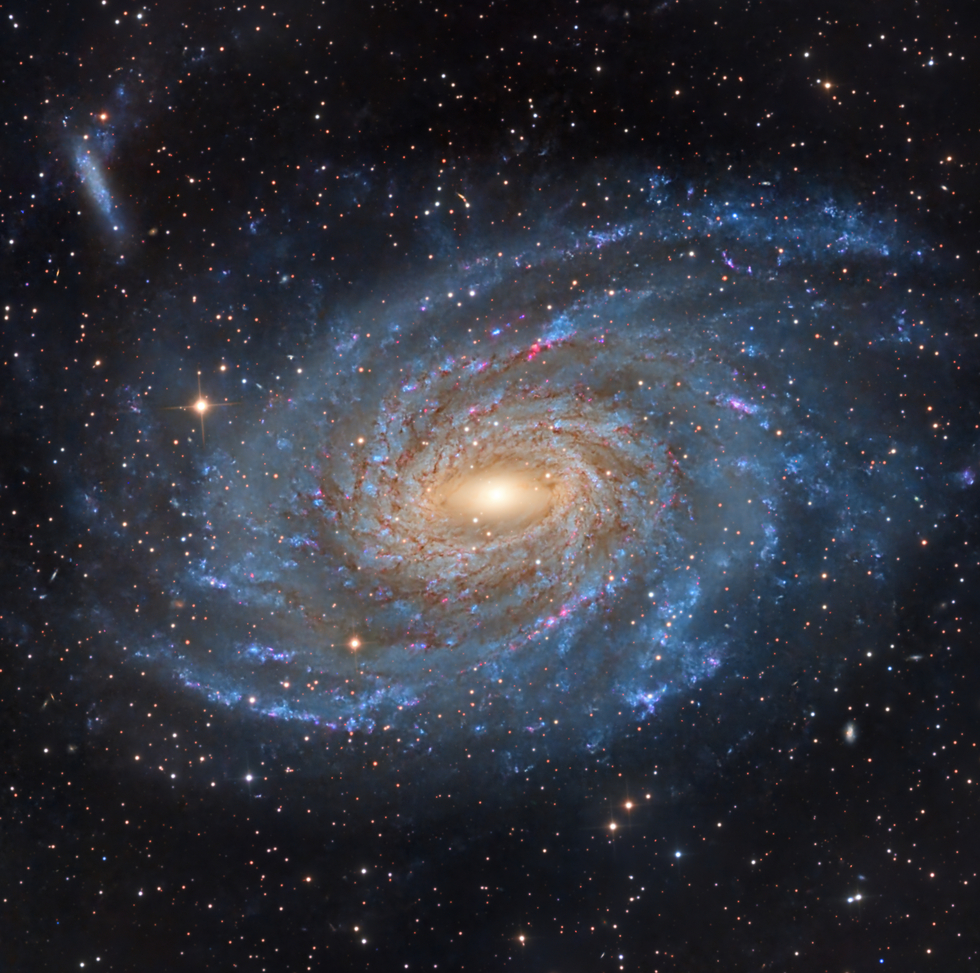 【4枚組】NGC MS66 2025 SpecialWrapCollection Cygnus Loop | ESA/Hubble