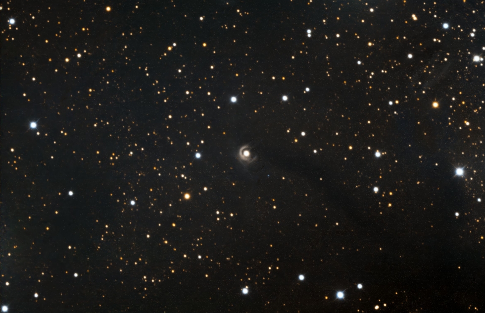 V1331CYGNI
