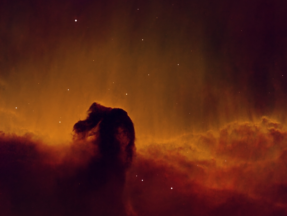SHO Horsehead nebula | Telescope Live