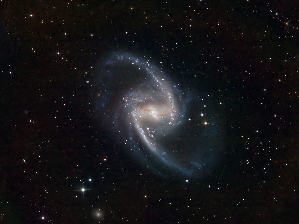 NGC1365