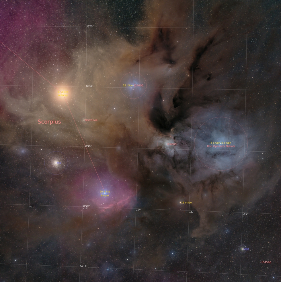 Rho Ophiuch