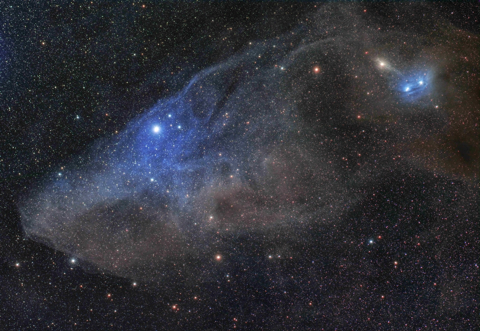 Blue Horsehead Nebula