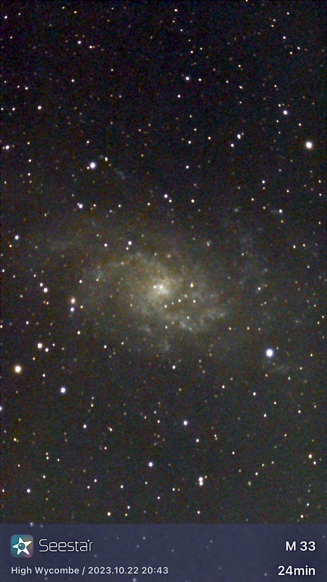 M33