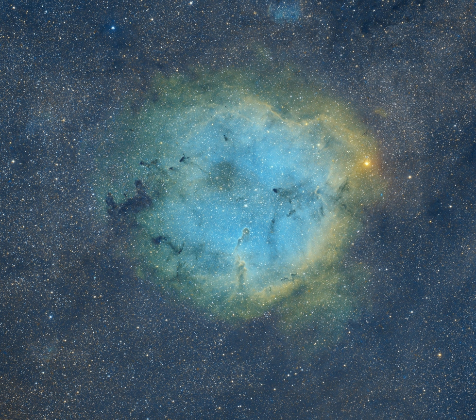 IC 1396- Elephant's trunk Nebula