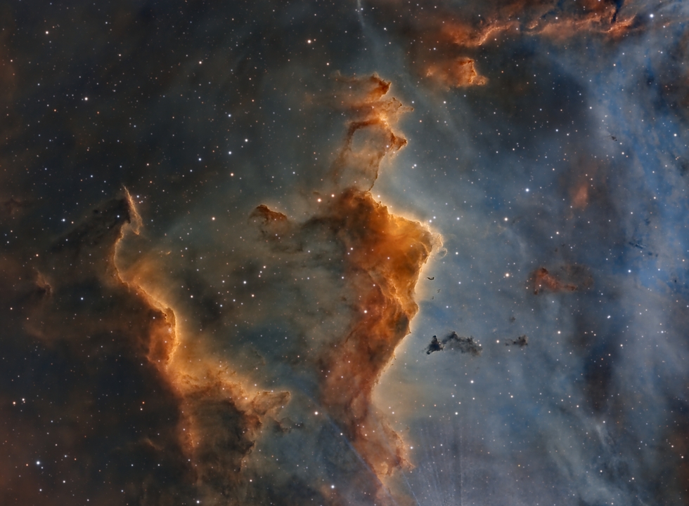 IC 2944 Deep In The Running Chicken SHO Blend