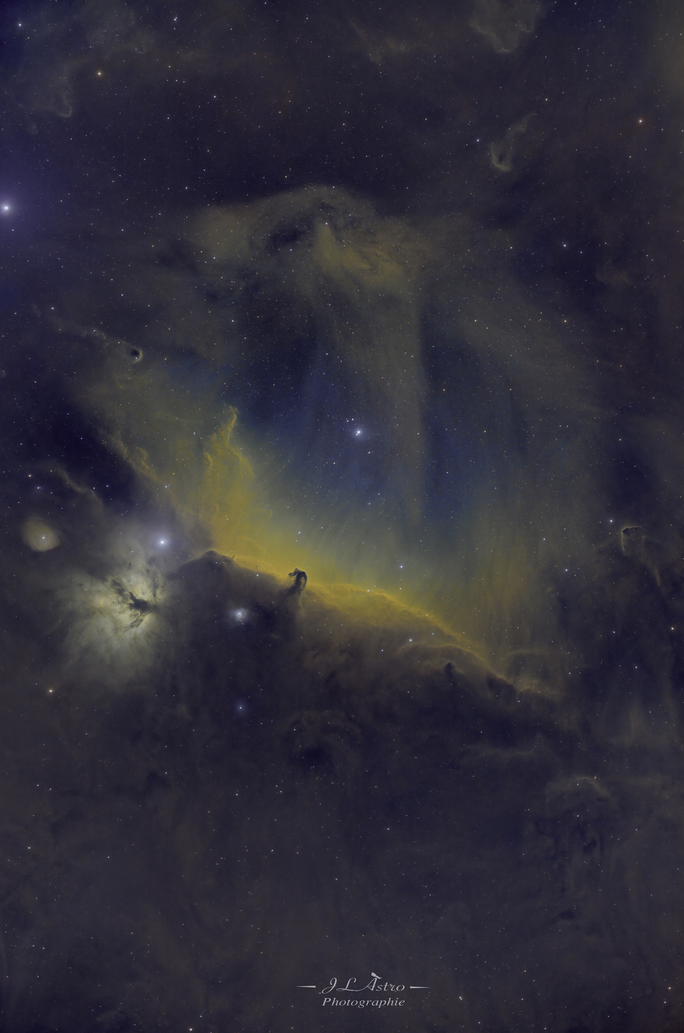 HORSEHEAD NEBULA WIDEFIELD