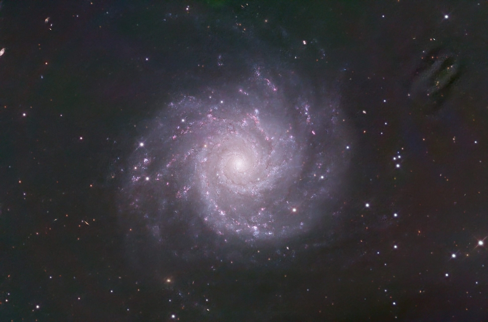 M74