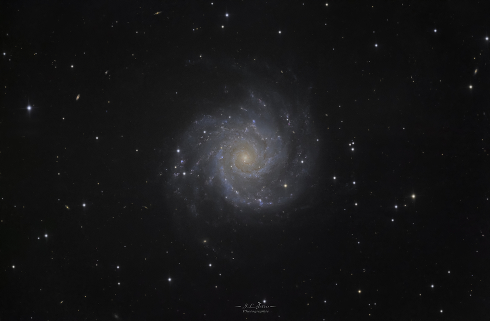 M74