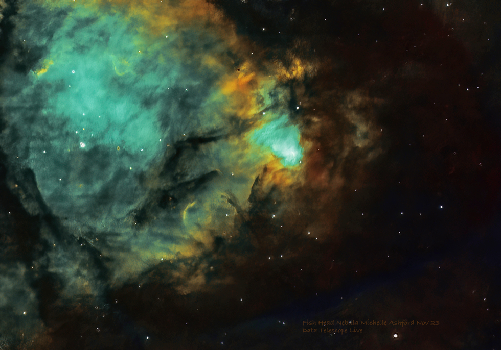 Fish Head Nebula