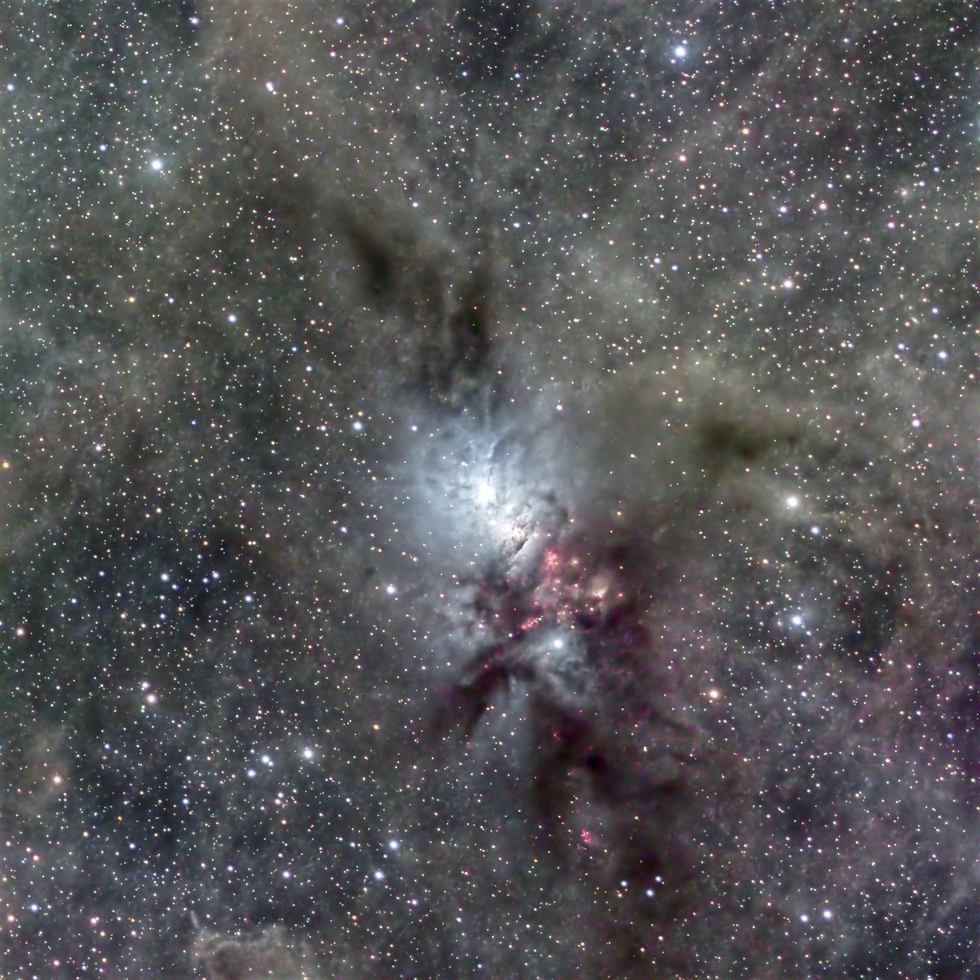 NGC1333