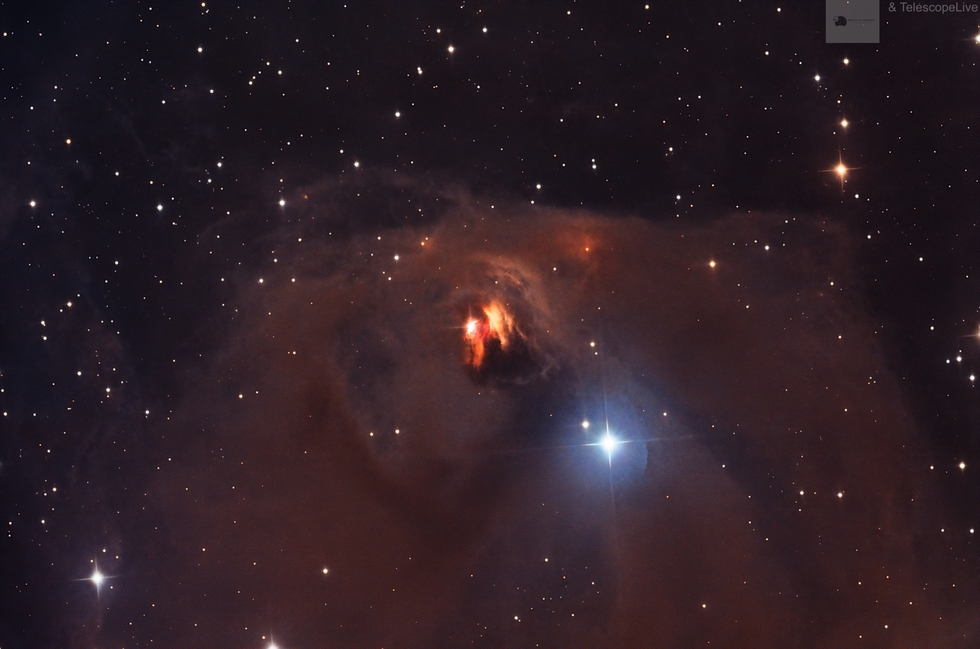 NGC 1555