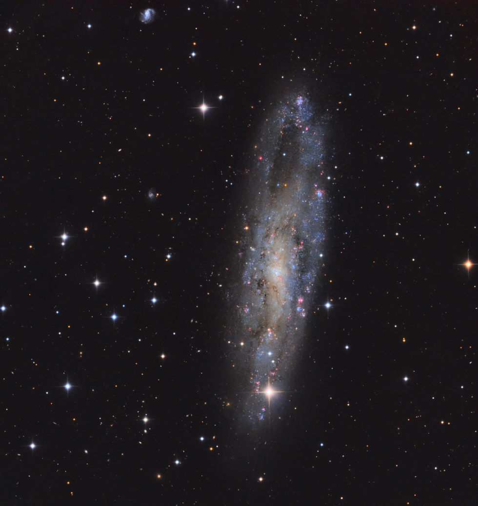 NGC247