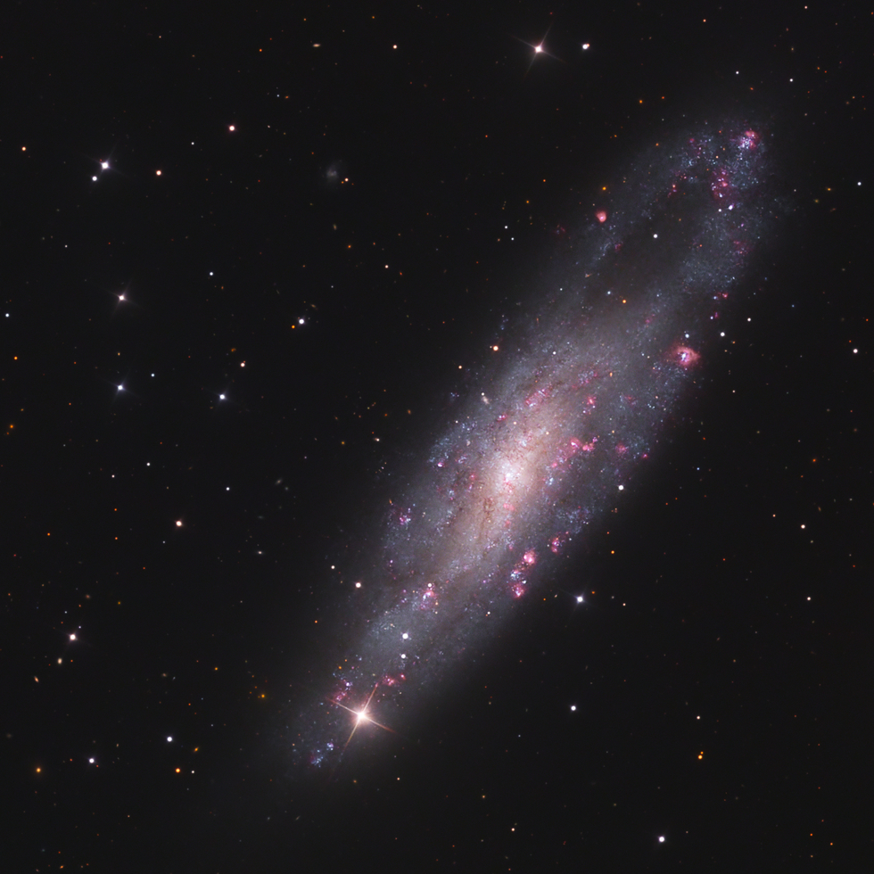 NGC 247