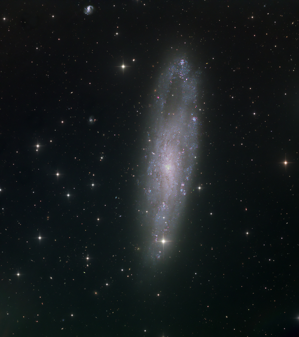 NGC247