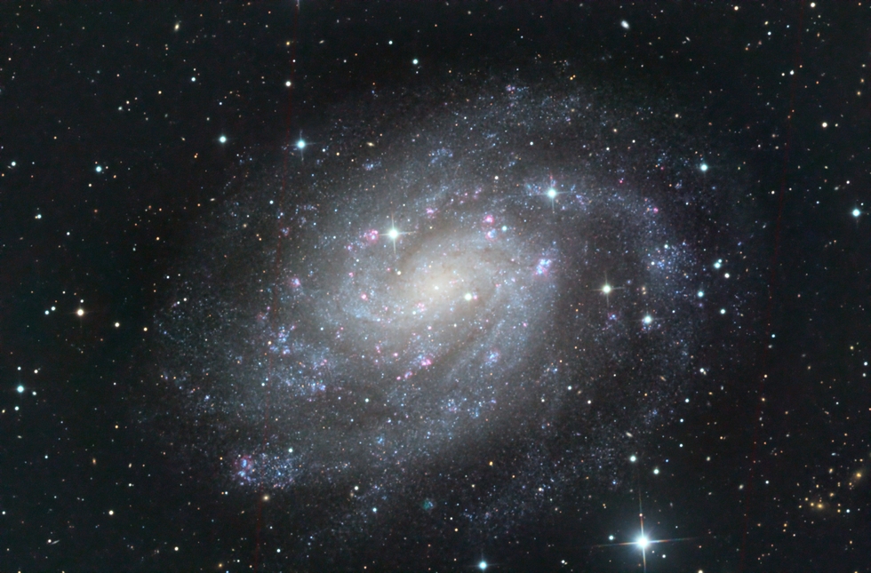 NGC 300 in Sculptor