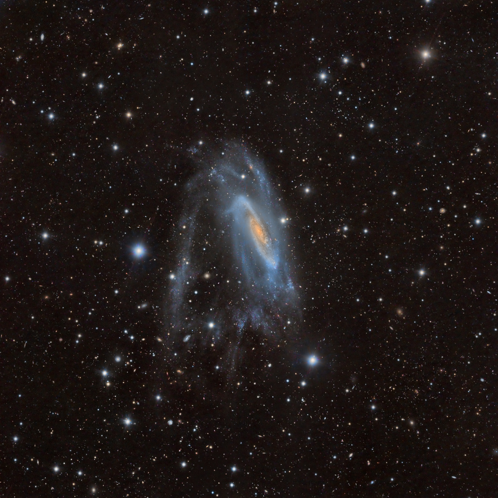 NGC3981