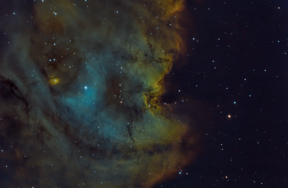 Monkey Head Nebula