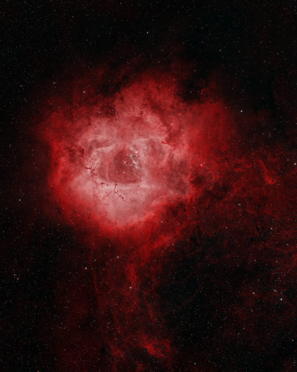 Rosette Nebula