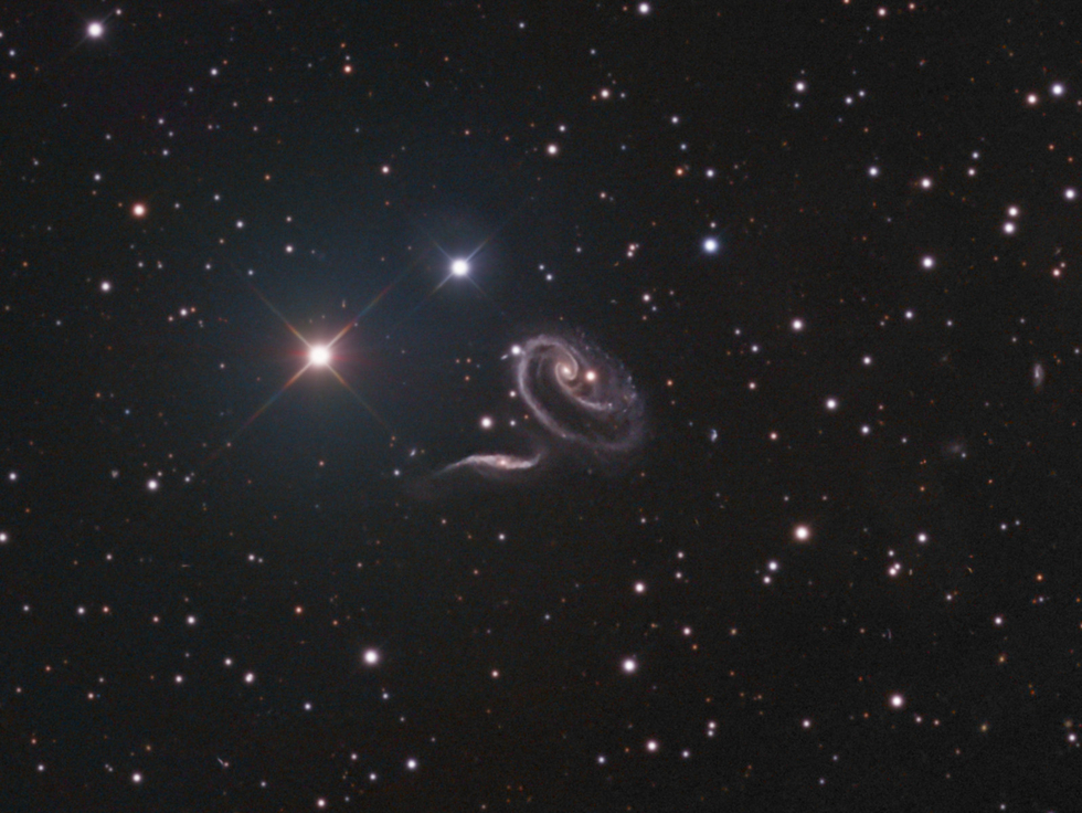 Arp 273