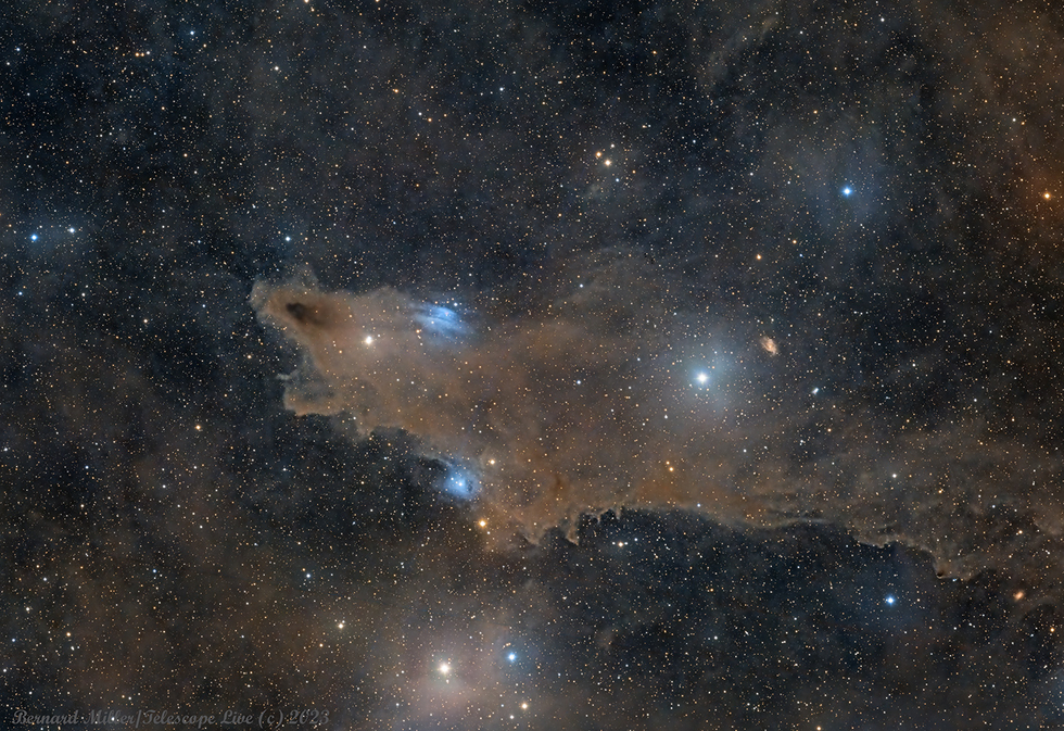 LDN 1235 - The Shark Nebula