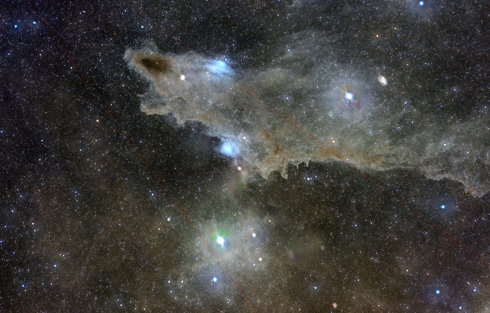 The Shark Nebula