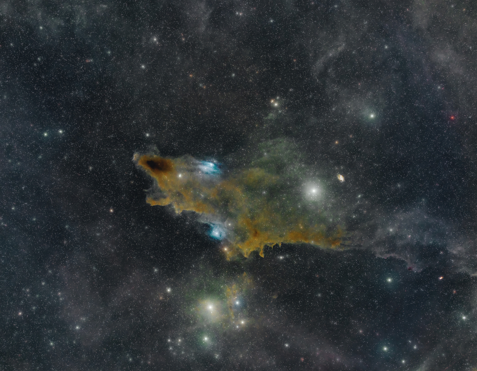 Shark Nebula