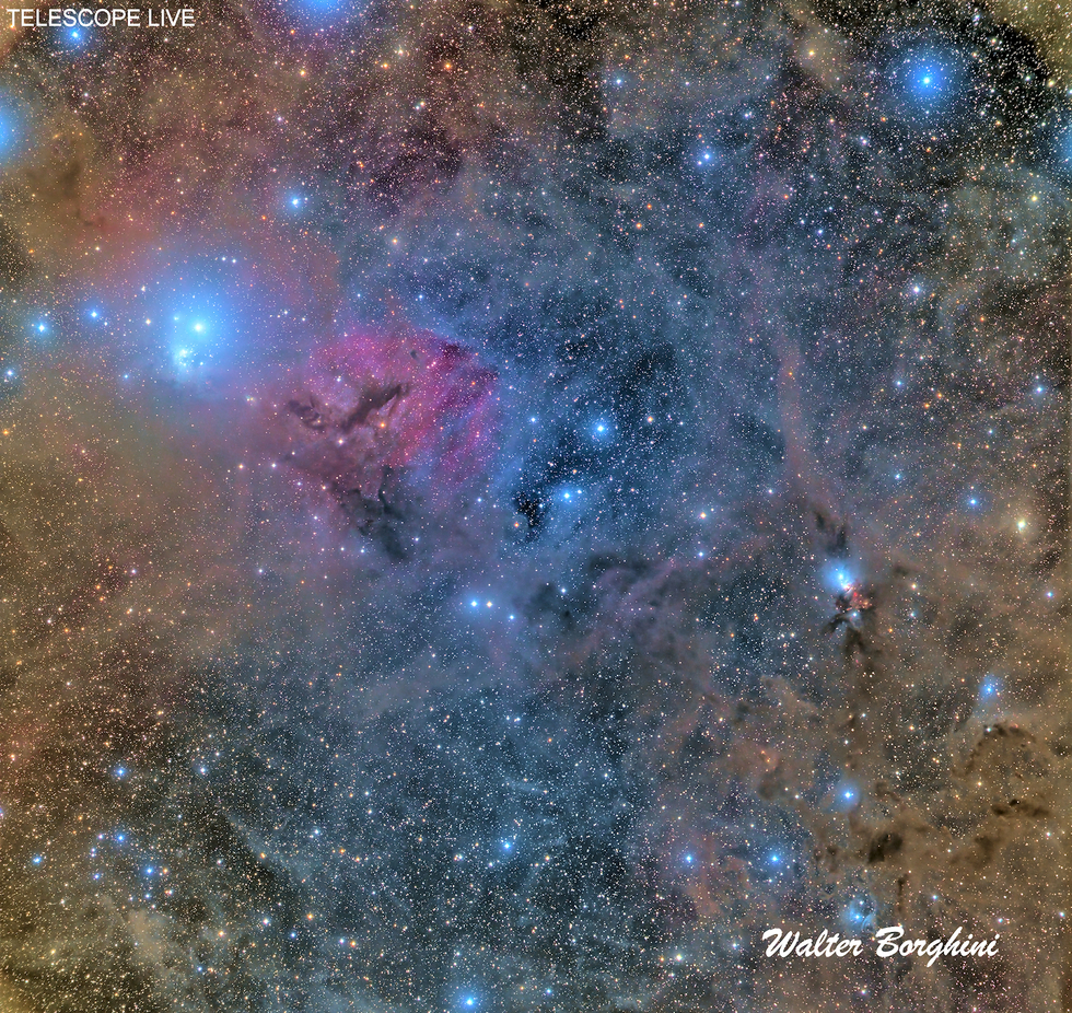 IC 348 & NGC 1333