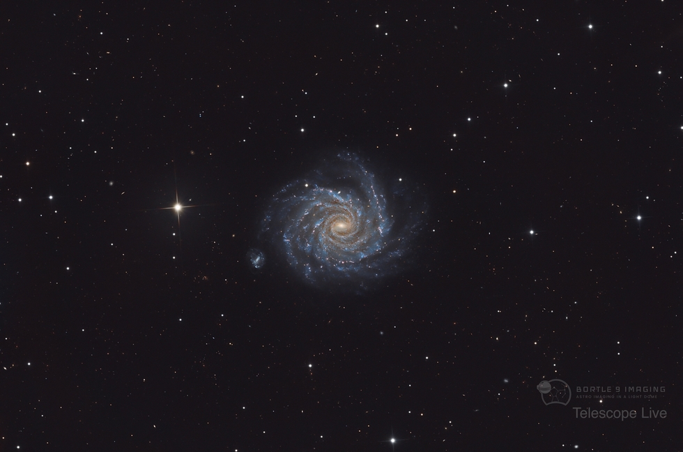 NGC 1232