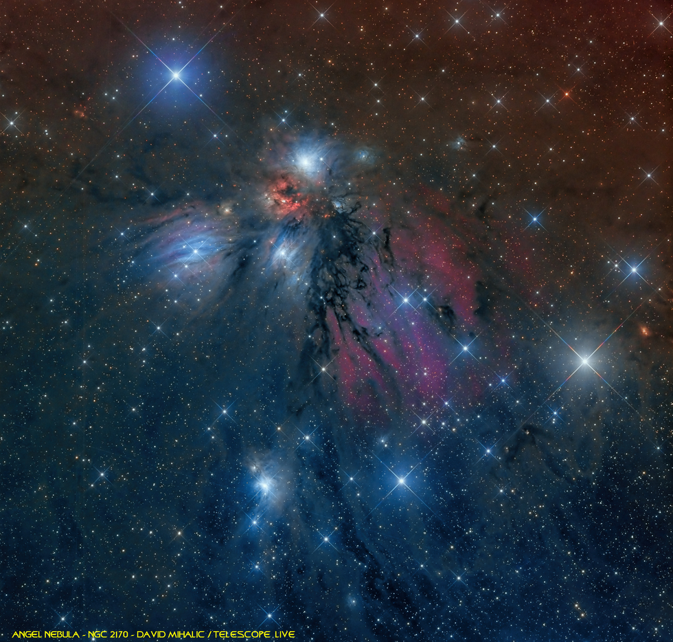 Christmas Angel - NGC 2170