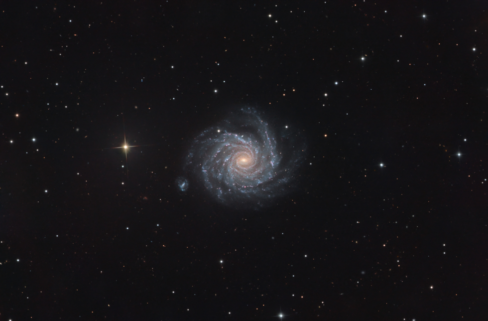 NGC 1232